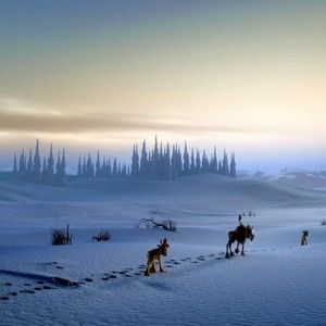 Meet your Posher, Bill